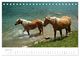 Thumbnail-9