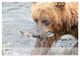 Thumbnail-9