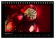Thumbnail-14