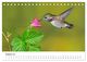 Thumbnail-10
