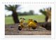 Thumbnail-13