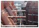 Thumbnail-10