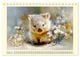 Thumbnail-12