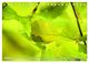 Thumbnail-14