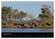 Thumbnail-11