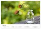 Thumbnail-12