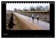 Thumbnail-12