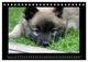 Thumbnail-11