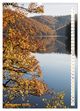 Thumbnail-14