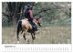 Thumbnail-14