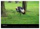 Thumbnail-10