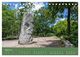 Thumbnail-9