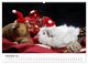 Thumbnail-13