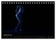 Thumbnail-14