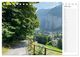 Thumbnail-8