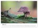 Thumbnail-13