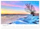 Thumbnail-14