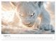 Thumbnail-9
