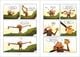 Thumbnail-3