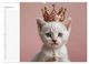Thumbnail-9