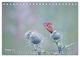 Thumbnail-12