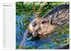 Thumbnail-12