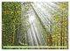 Thumbnail-14