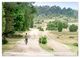 Thumbnail-12