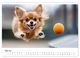 Thumbnail-9