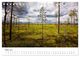 Thumbnail-8