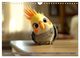 Thumbnail-12