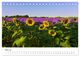 Thumbnail-10