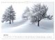 Thumbnail-11