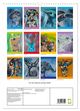 Thumbnail-1