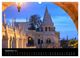 Thumbnail-14