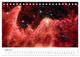 Thumbnail-9