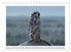 Thumbnail-14