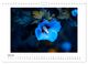 Thumbnail-9