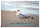 Thumbnail-9