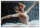 Thumbnail-12