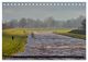 Thumbnail-13