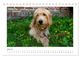 Thumbnail-10