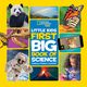 Thumbnail-0