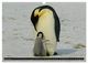 Thumbnail-14
