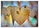 Thumbnail-14