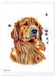 Thumbnail-11