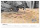 Thumbnail-12