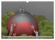 Thumbnail-14