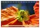 Thumbnail-9