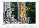 Thumbnail-11